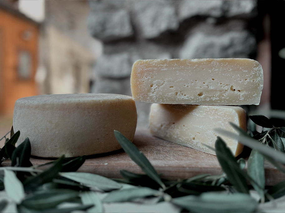 Frischer Null-Meilen-Käse vom Bauernhof Collini di Tignale, auf einem Schneidebrett mit Olivenblättern angerichtet